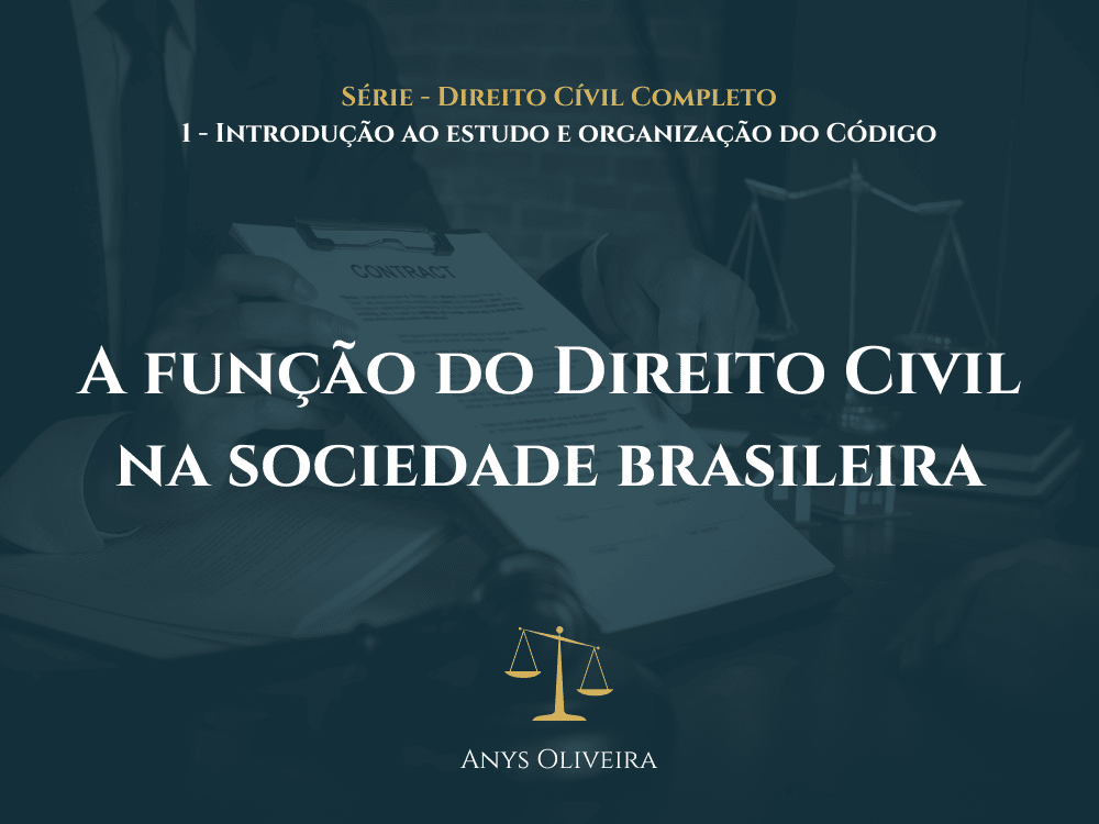 A função do código civil na sociedade brasileira - direito cívil